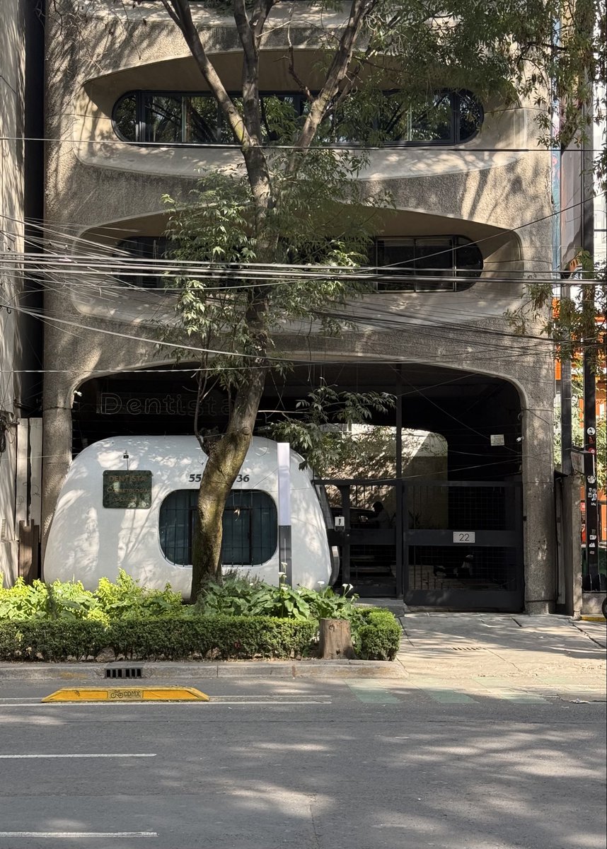 Armando Maravilla - Wonder tweet media