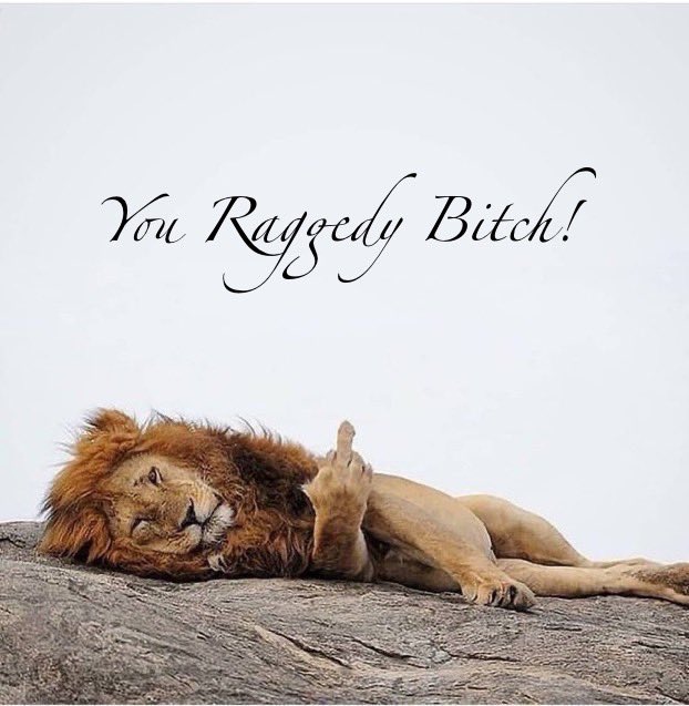 MusyimiKe's tweet image. We nyamaza, tukitaka mtu hana akili titakuita. Stupid. 
#Tuesday #RutoMustGo #OccupyStatehouse #FagiaWote