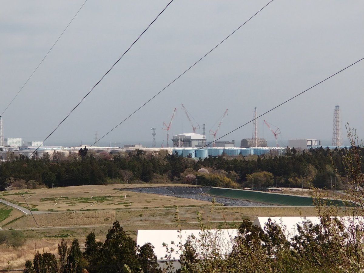 Sakurai Yoshitaka さくちゃん なう tweet media