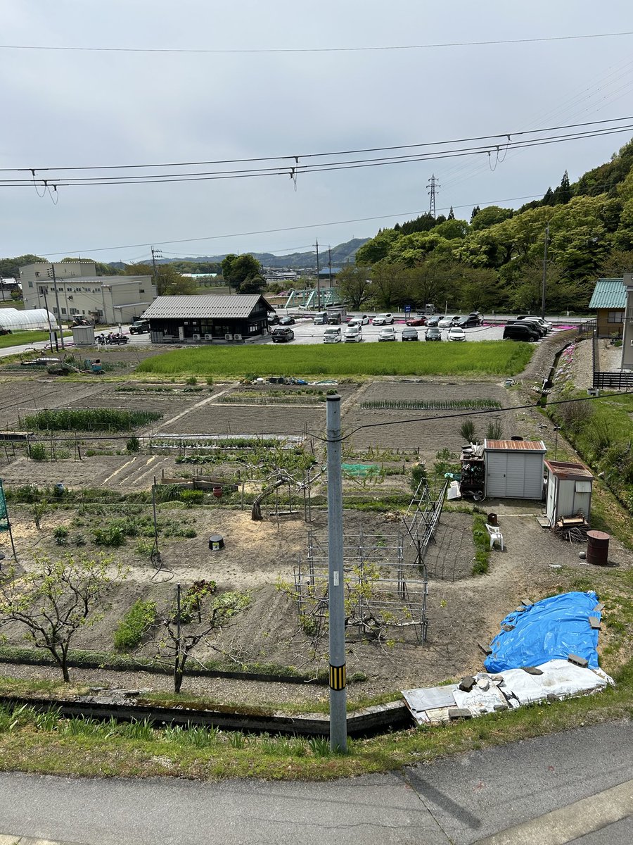 sudachi_aria tweet media