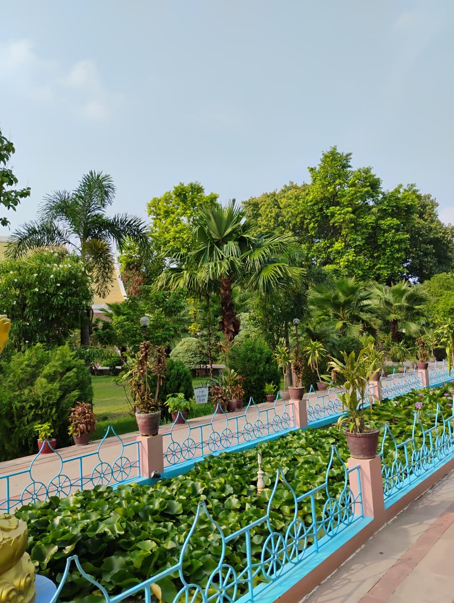 RamanRjha4647's tweet image. “Sometimes the most productive thing you can do is relax.”

wishing you relaxing and happy sunday 😊 🌿

what's your plan for today?

#happysunday