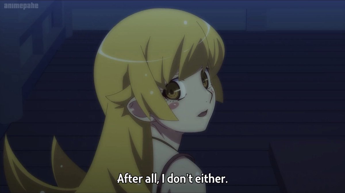 twoodles 🦔 tweet media