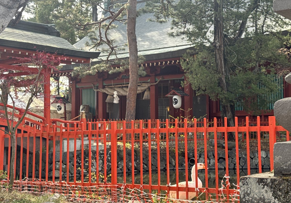 竜胆の花 tweet media