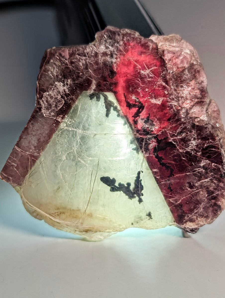 雪⛰️国 tweet media