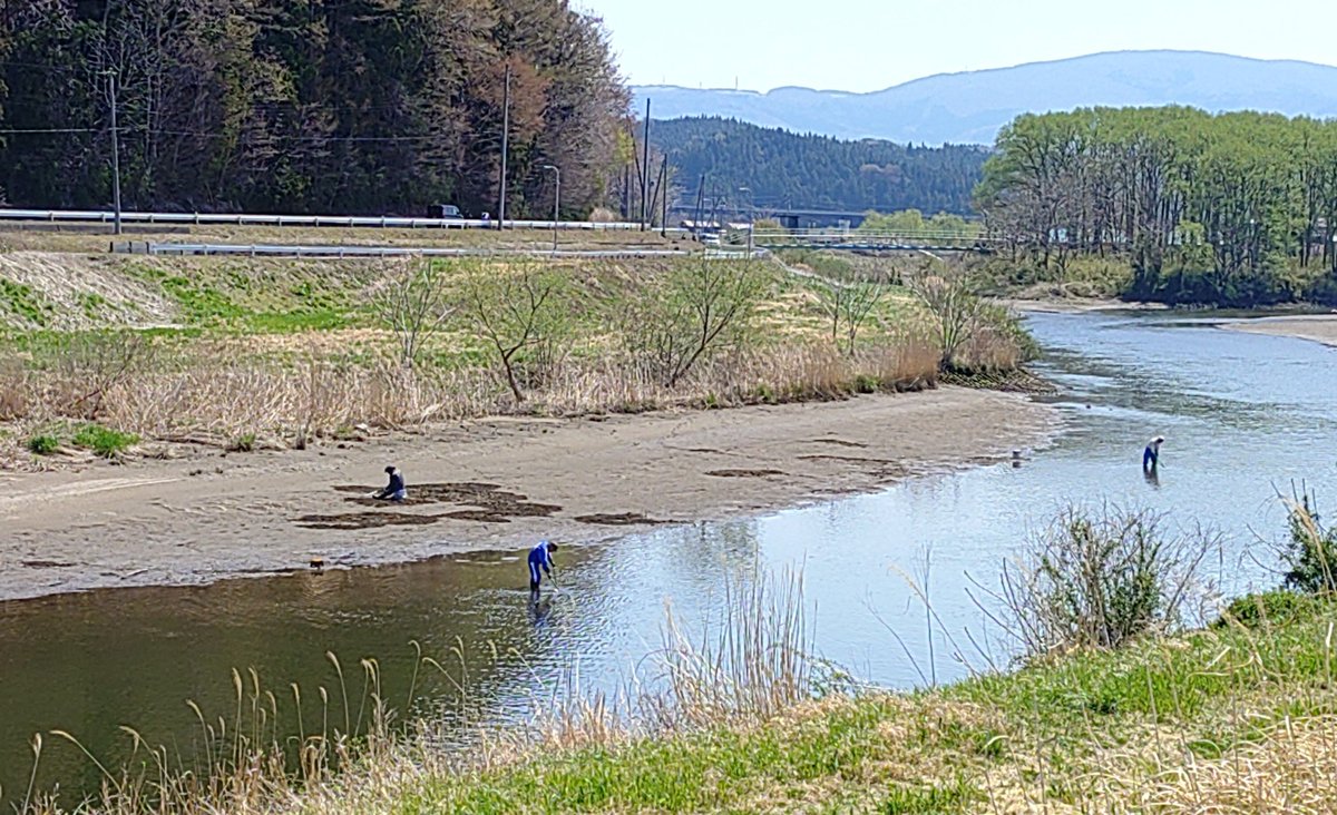 居酒屋 点 tweet media