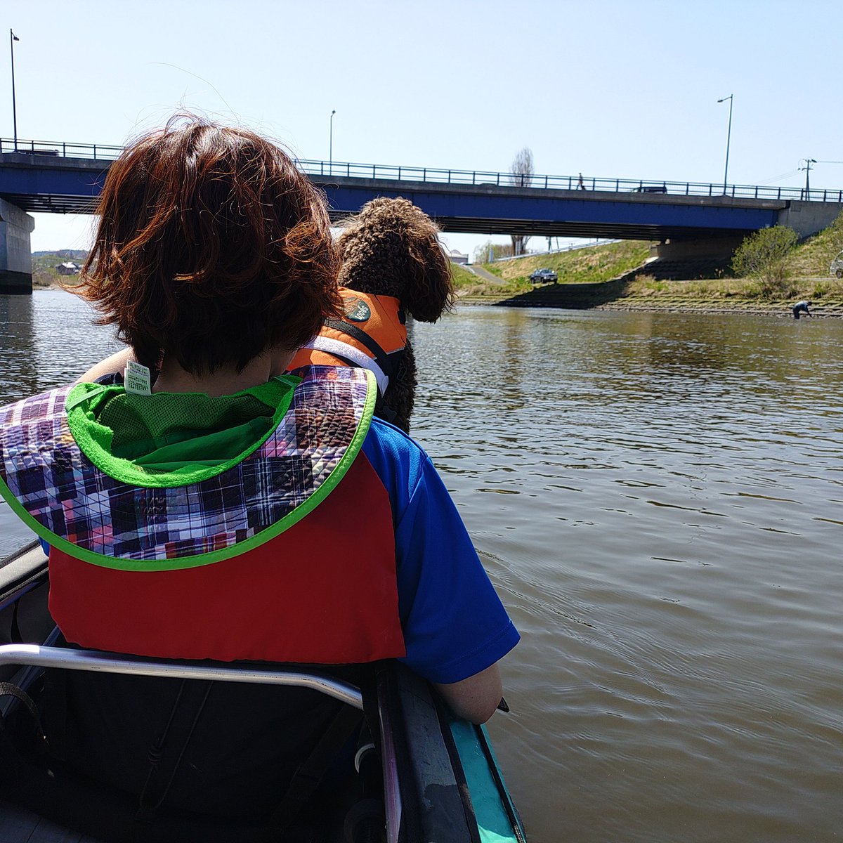 居酒屋 点 tweet media