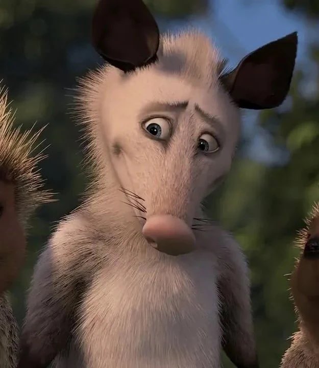 Tall 𝓕𝓻𝓮𝓪𝓴𝔂 Husky tweet media