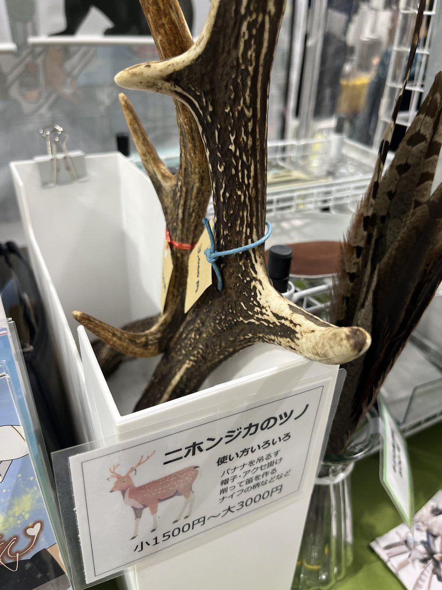 しげない工房🐈5/2・3東北六彩マルシェ山形・5/23・24デザフェス63 tweet media