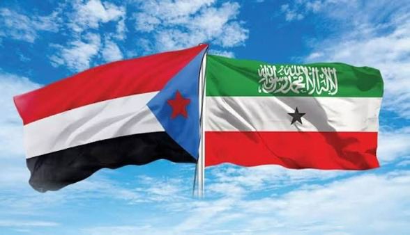 مروان بن حميّد 🇦🇪 tweet media