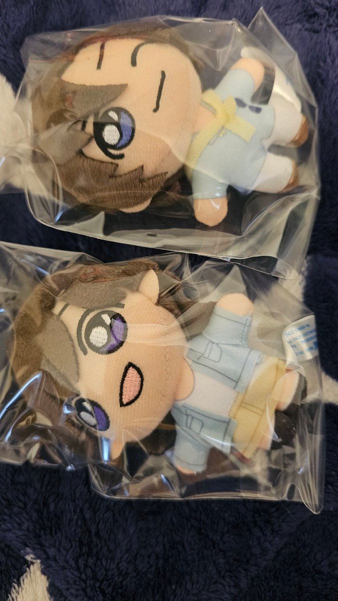 ぽにょ tweet media