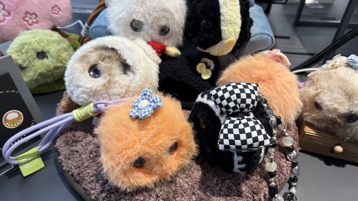 コノハ・ポータル tweet media