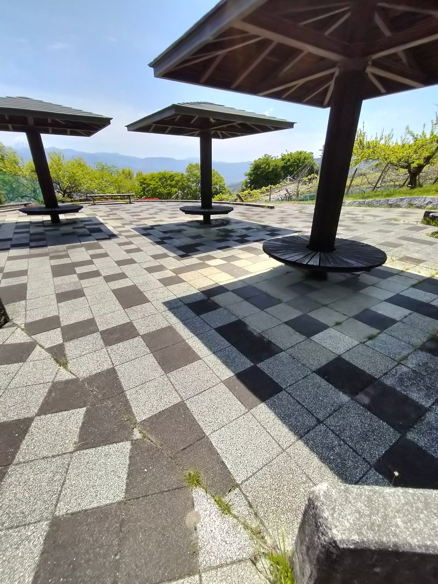 今日のアポロ.....nn🏍🐞 tweet media