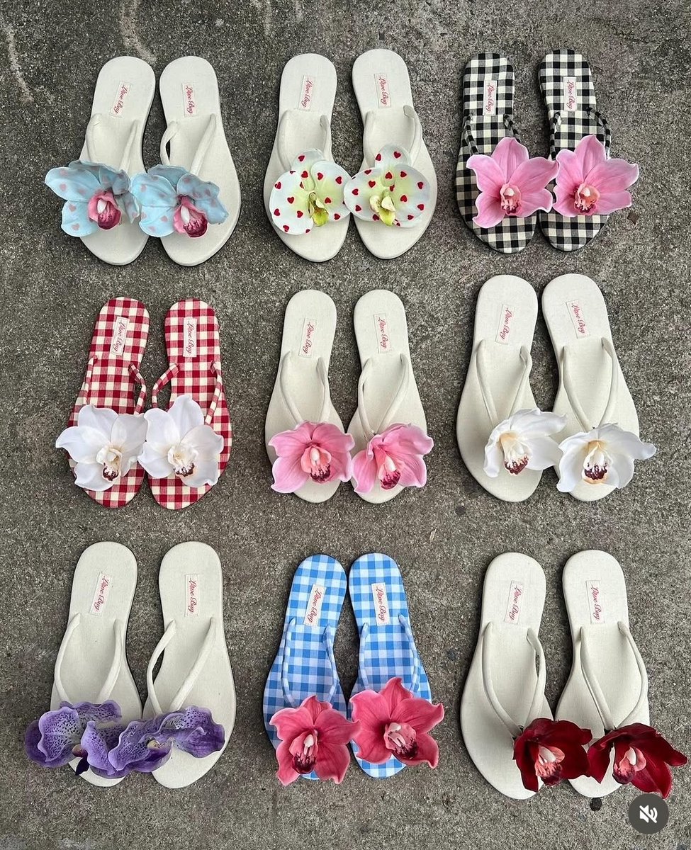 daisy bloom tweet media