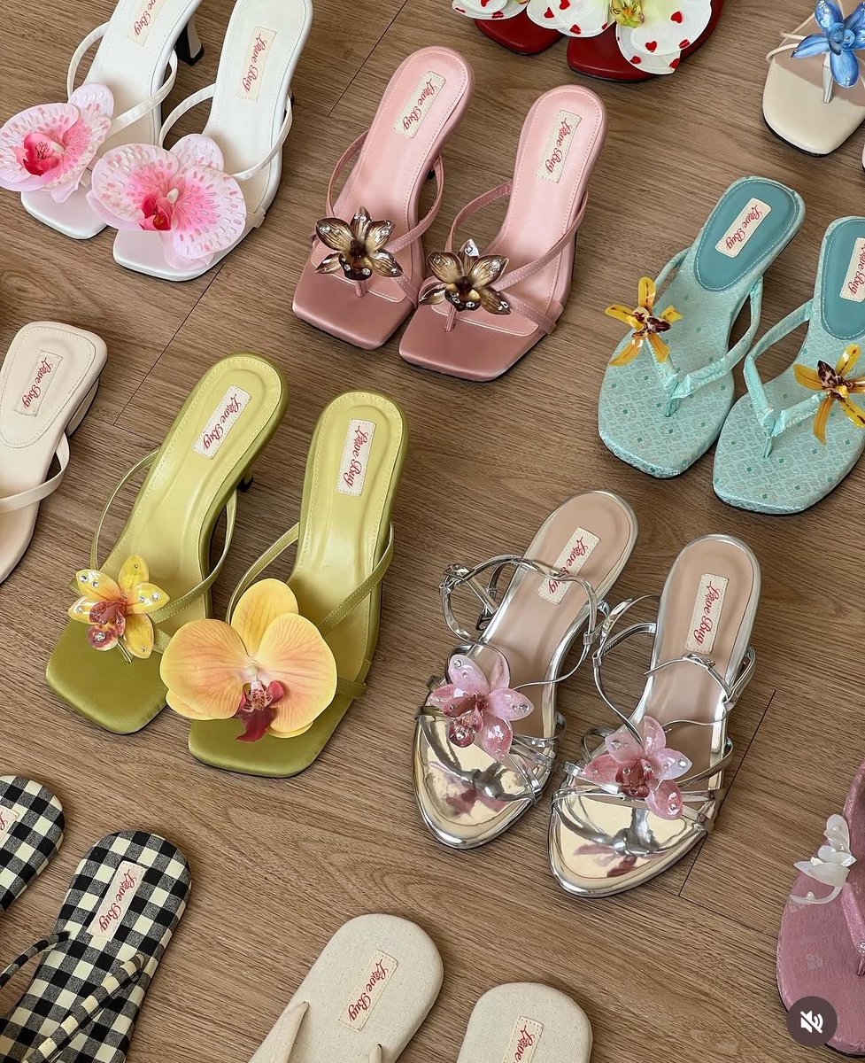 daisy bloom tweet media