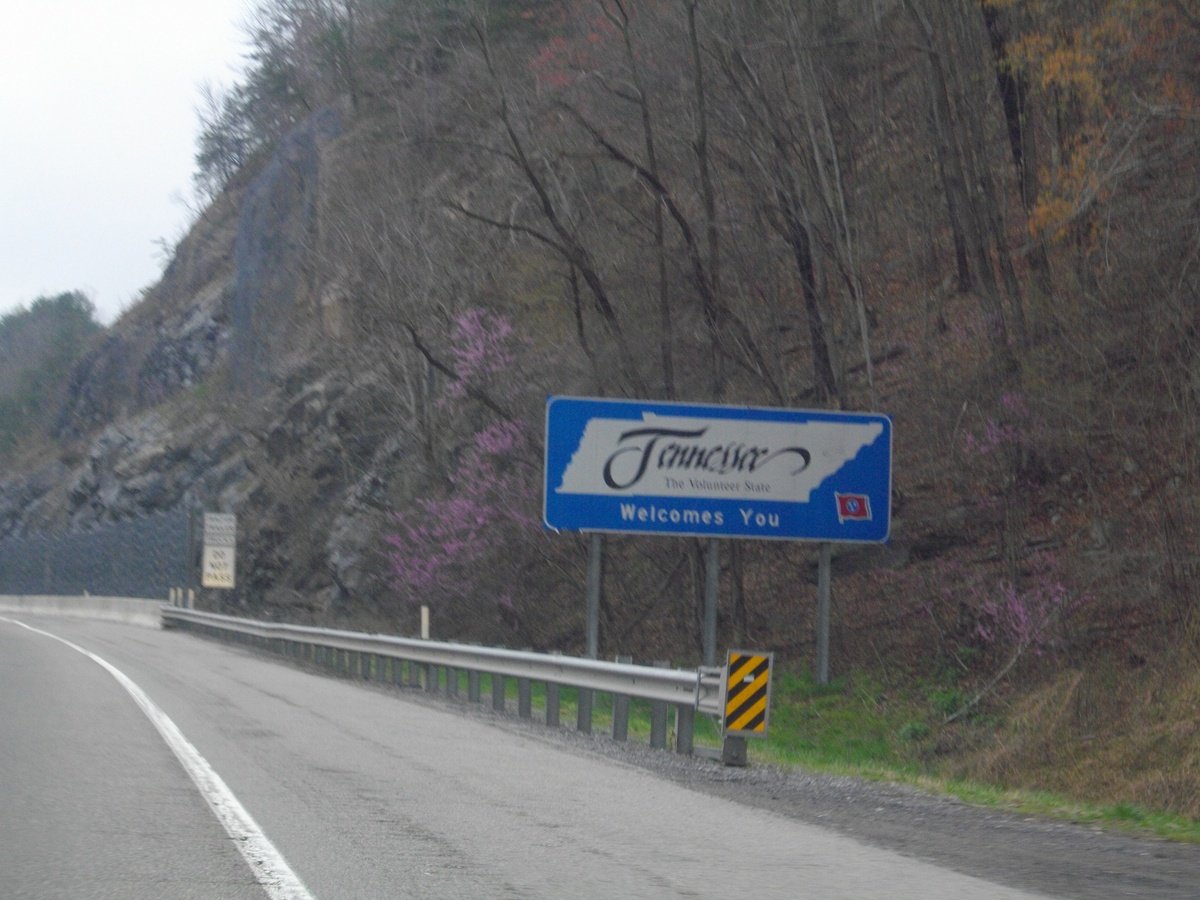 MythoAmerica 🌲 tweet media