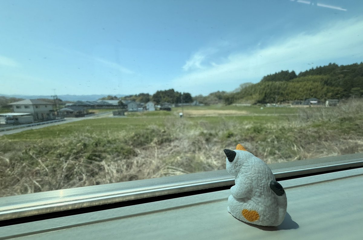 mmmmmmzar's tweet photo. 行くよ御意猫 https://t.co/GymGUCwrP3