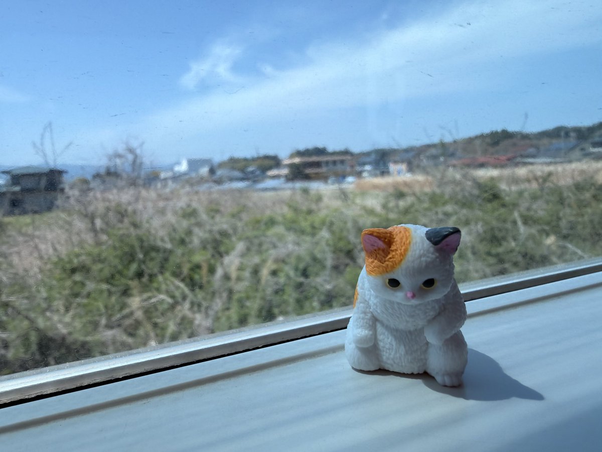 mmmmmmzar's tweet photo. 行くよ御意猫 https://t.co/GymGUCwrP3