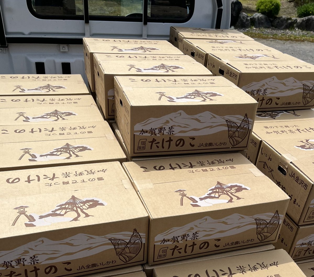 ダブル double tweet media