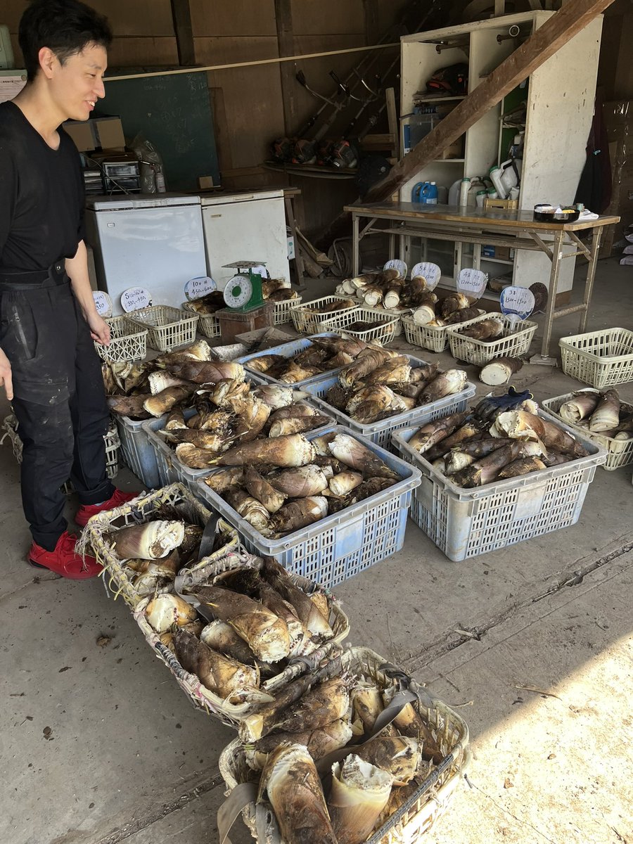 ダブル double tweet media