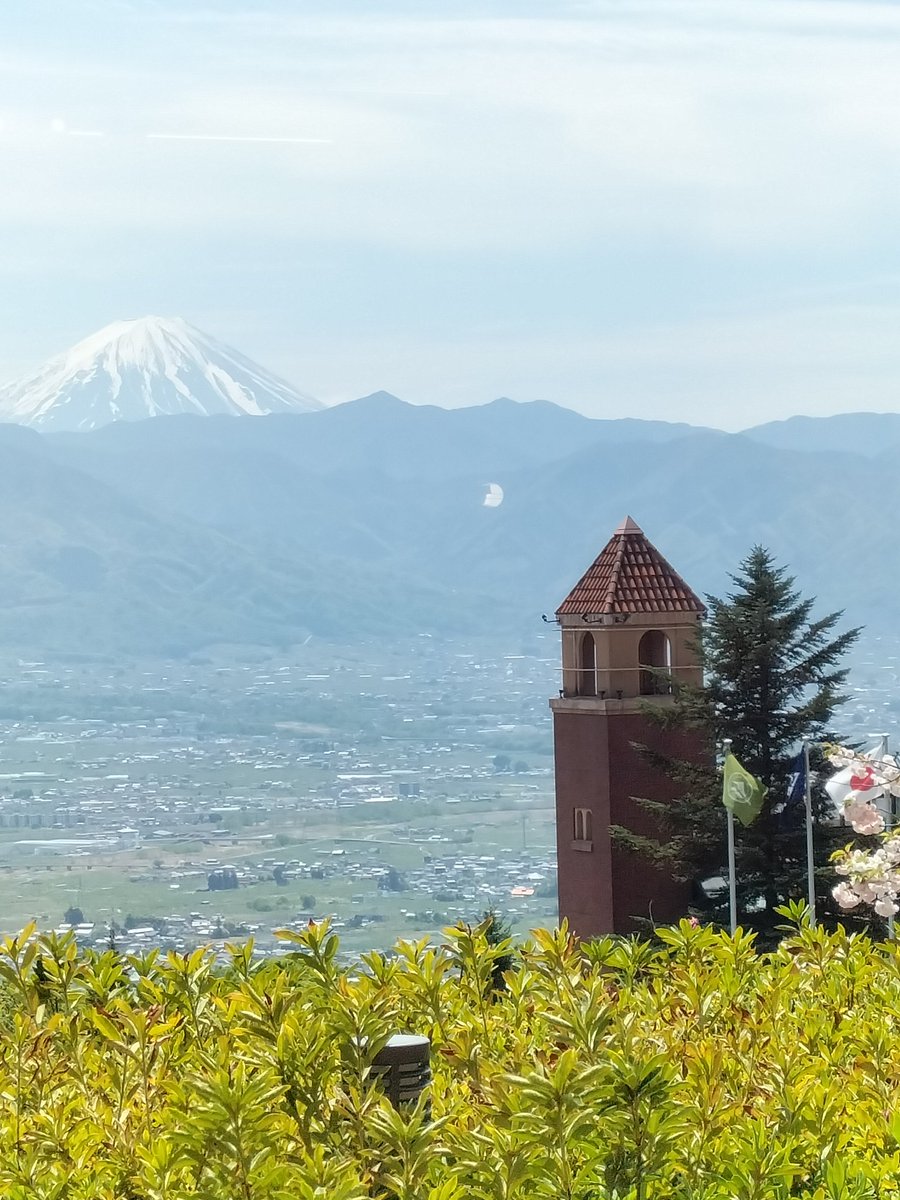 今日のアポロ.....nn🏍🐞 tweet media