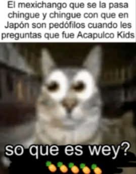 Demideoz tweet media