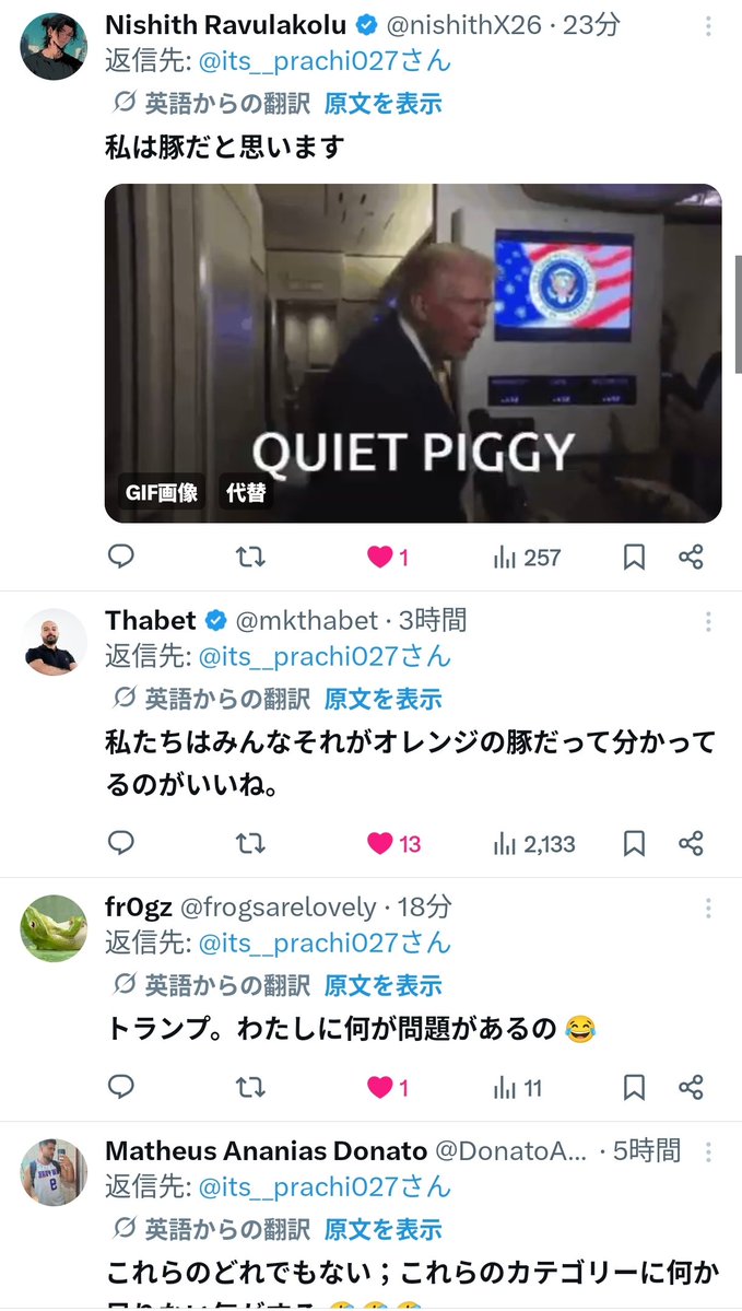 ダルメシマンゼブラ tweet media