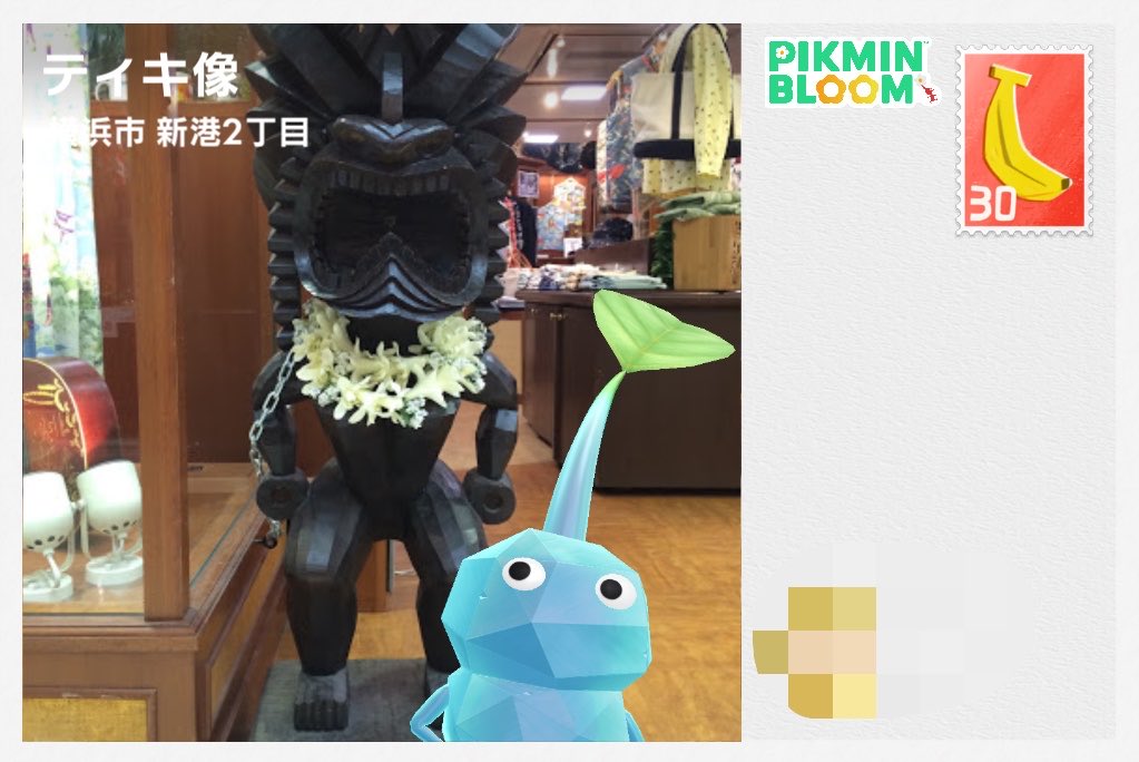 cha（sachi） tweet media