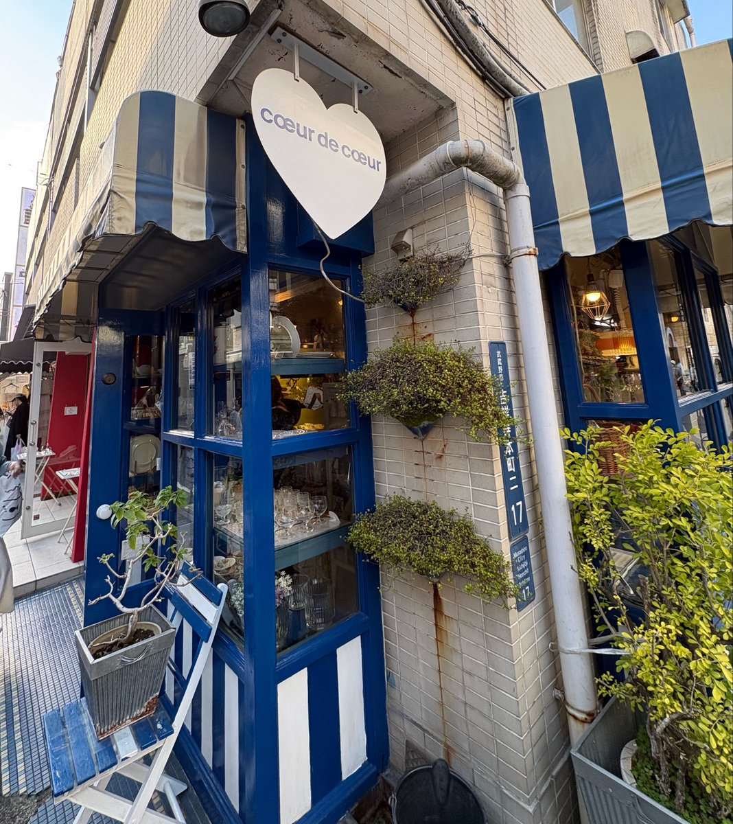 おすぎ tweet media