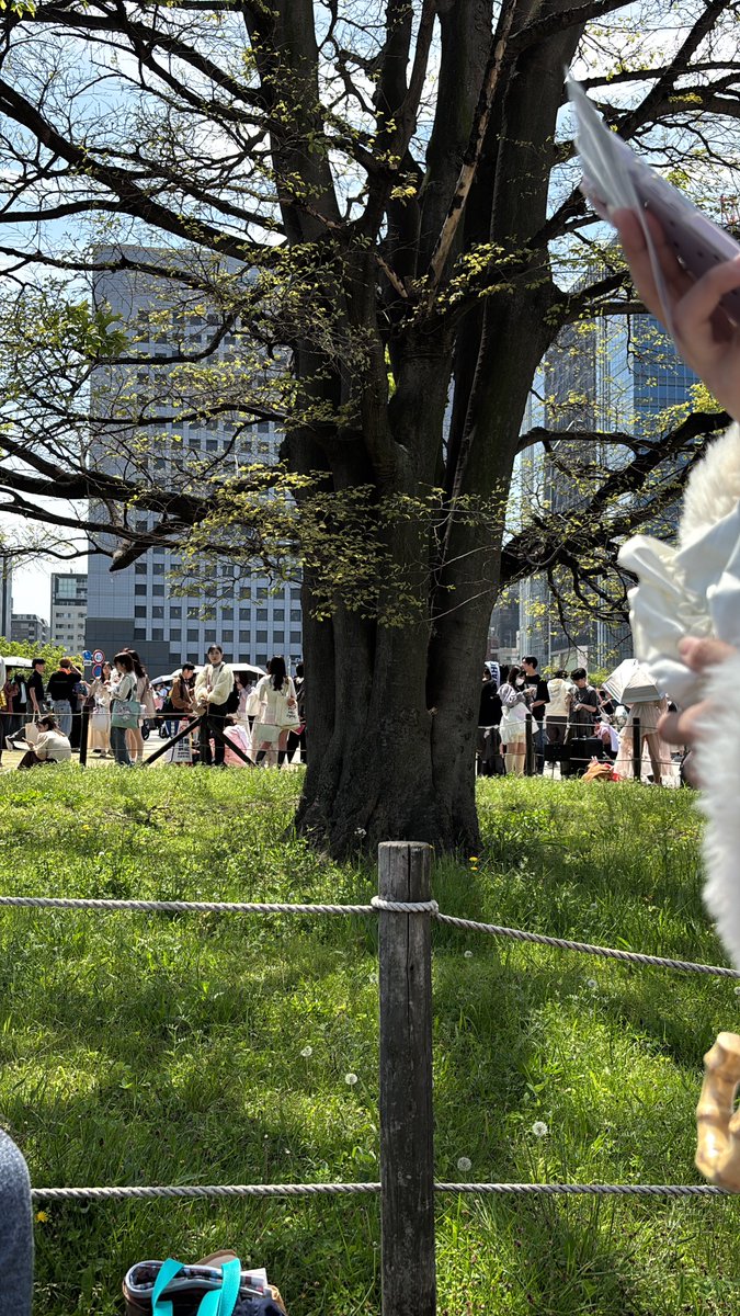 あまね tweet media