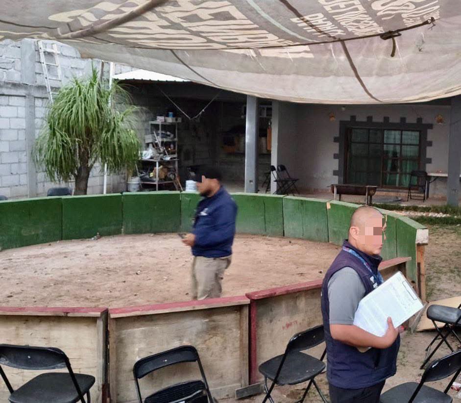 hector_sinecio's tweet image. #MONITOR #TVQ #LaNeta Clausura @qromunicipio inmueble acondicionado para pelea de gallos en la Delegación #EpigmenioGonzalez ubicado en la comunidad de “El Salitre” acción que ratifica  el compromiso que reiteradamente ha manifestado @FeliFerMacias con la seguridad y el orden. 🔵