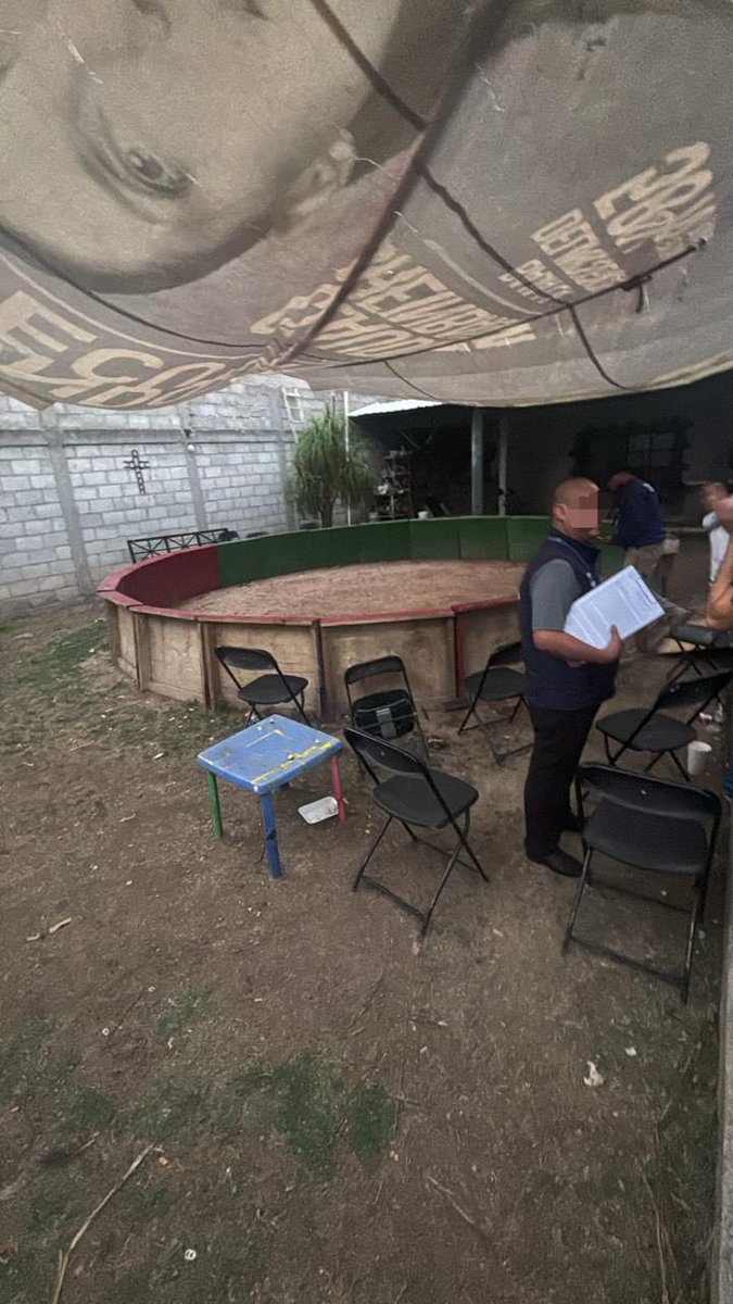 hector_sinecio's tweet image. #MONITOR #TVQ #LaNeta Clausura @qromunicipio inmueble acondicionado para pelea de gallos en la Delegación #EpigmenioGonzalez ubicado en la comunidad de “El Salitre” acción que ratifica  el compromiso que reiteradamente ha manifestado @FeliFerMacias con la seguridad y el orden. 🔵