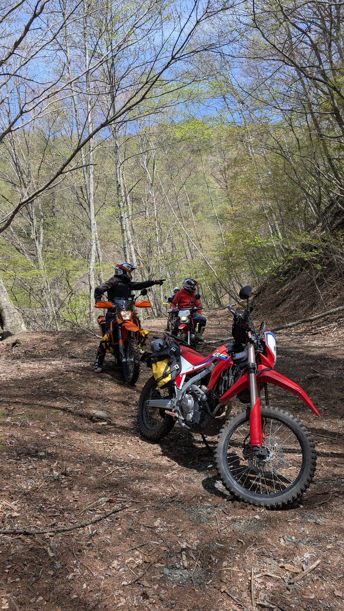 栗@黙示録 tweet media