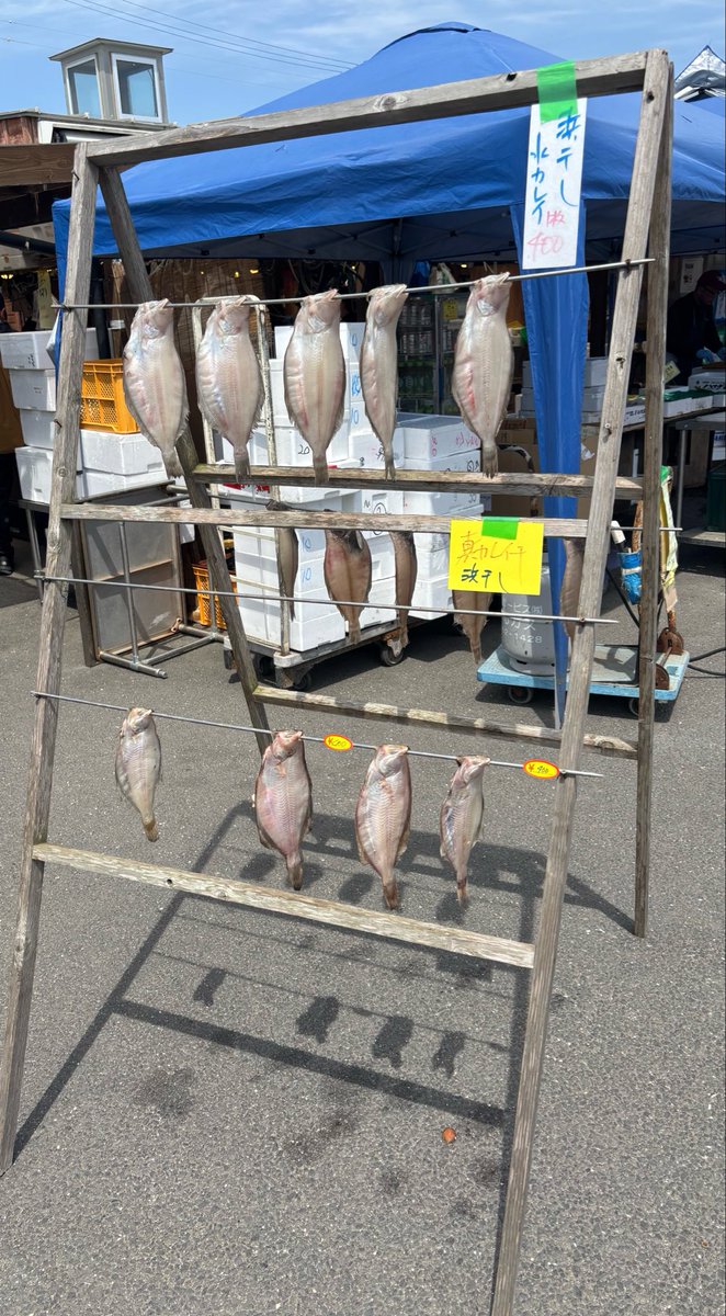 JEF🍻🍋 tweet media