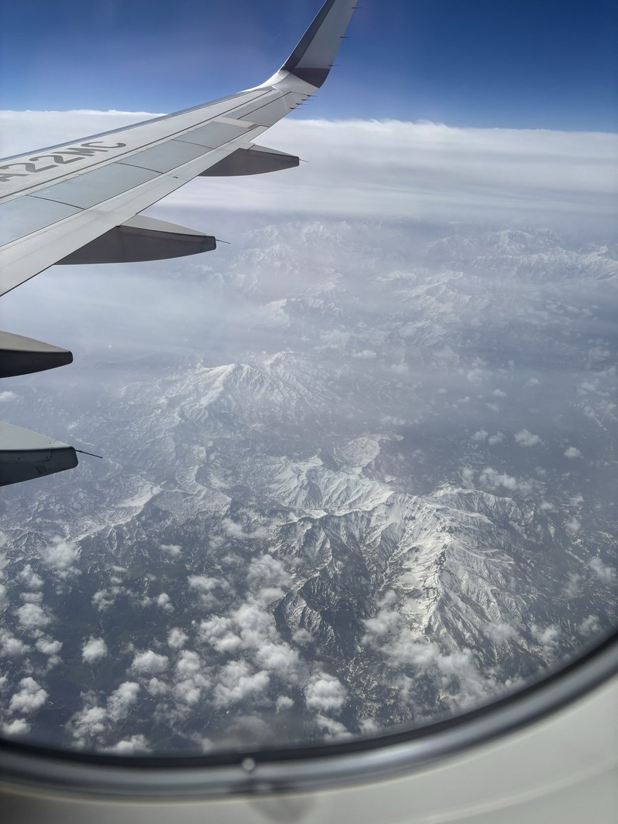 JEF🍻🍋 tweet media