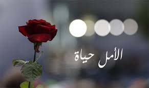 Abu Yasser tweet media