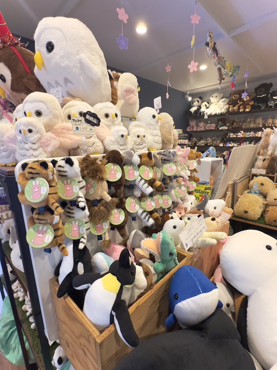 円山裏参道WawA◎◎ミュージアム tweet media