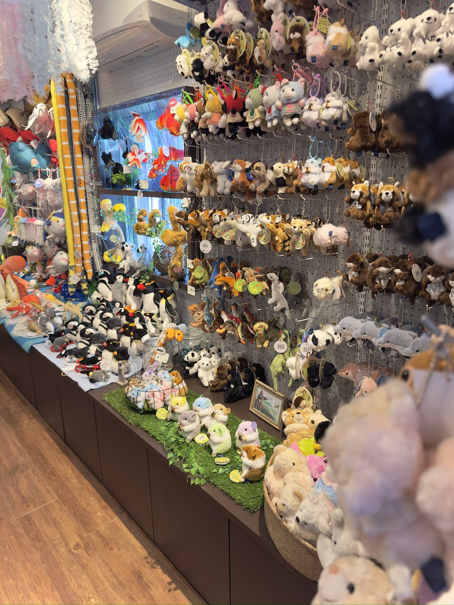 円山裏参道WawA◎◎ミュージアム tweet media