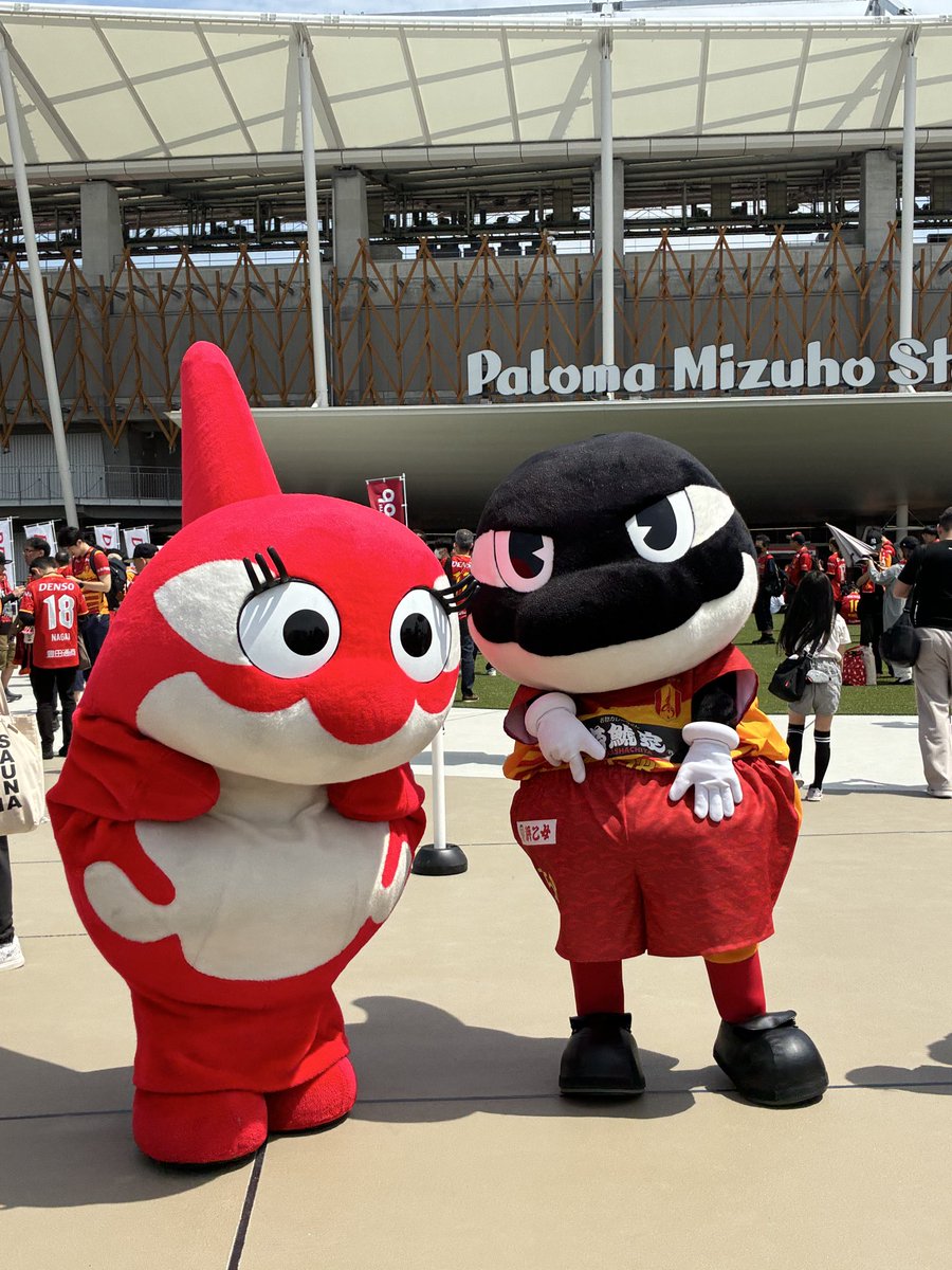 しゃっちー🍓 tweet media