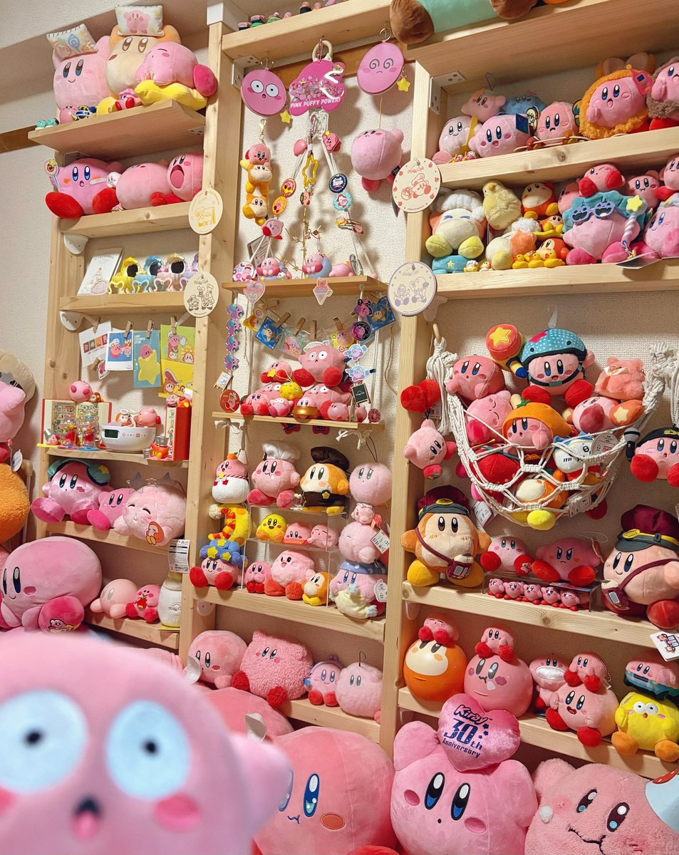 33歳、家賃0円、棚暮らし、カービィ