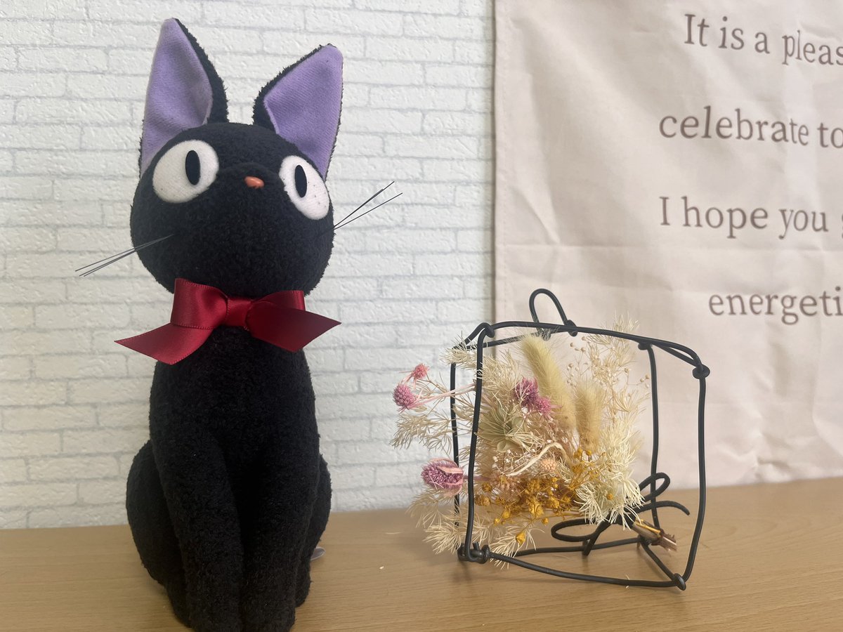 そうちゃん🐈‍⬛🪽 tweet media