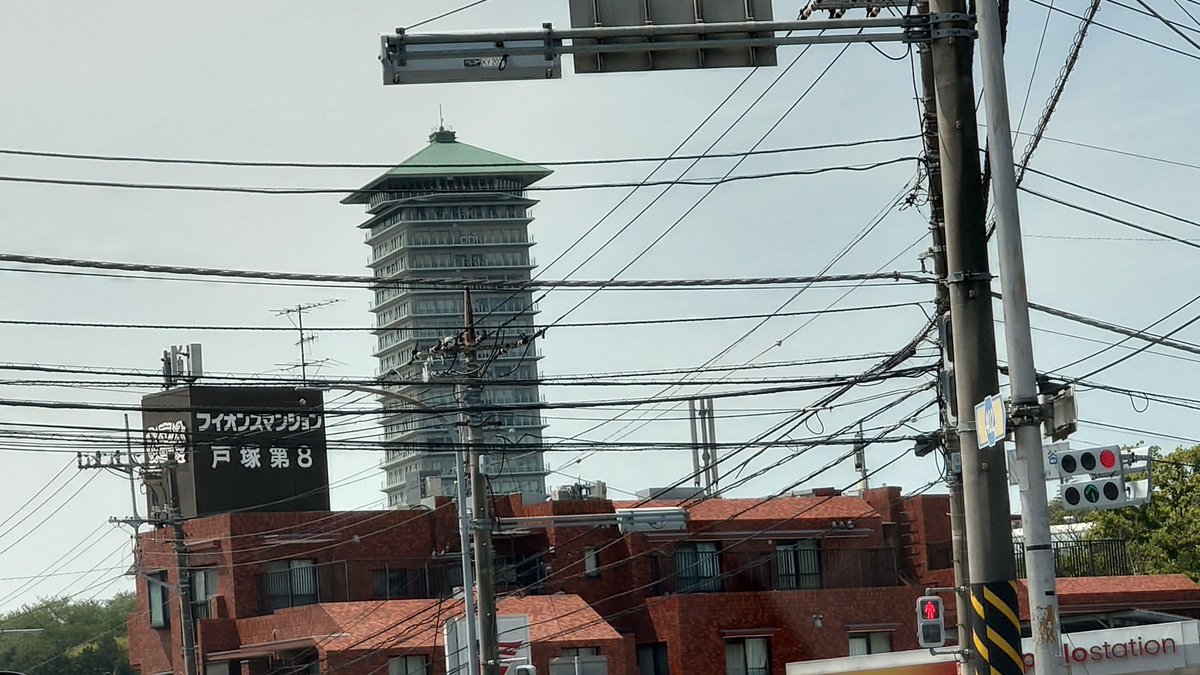 こたつねこ774 tweet media