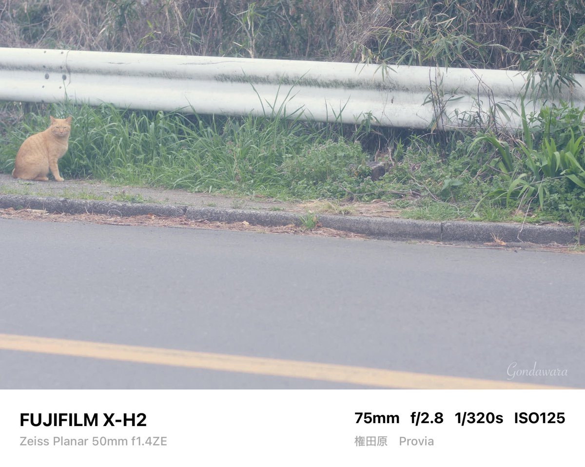 loqg78's tweet image. 暑くなってきた🙄水分補給しましょ🥤

#fujifilm_xseries #XH2 #Zeiss #Planar50ZE #ノスタルトーン