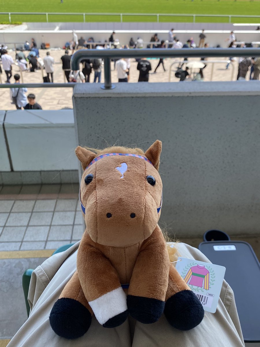 椎原旬＠ tweet media