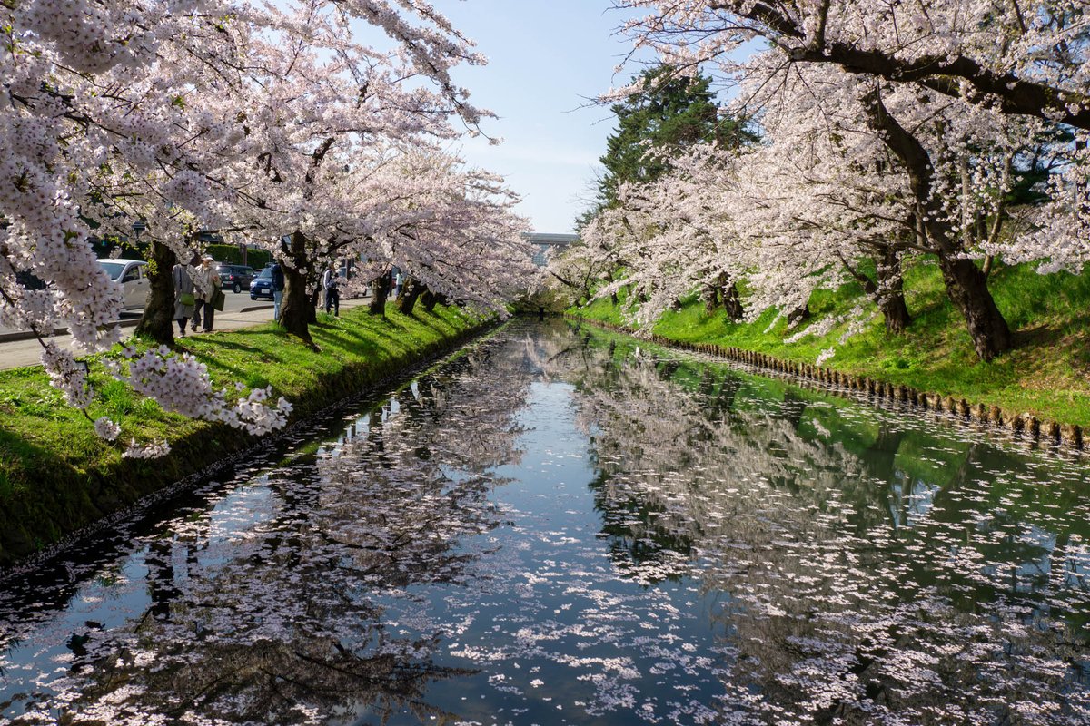 弘前公園 tweet media