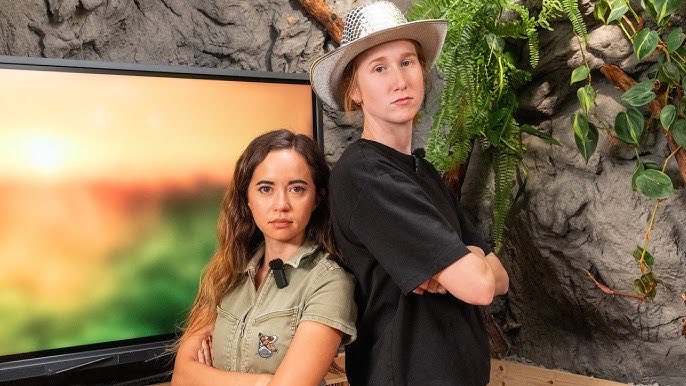 hssnjshahahha tweet media