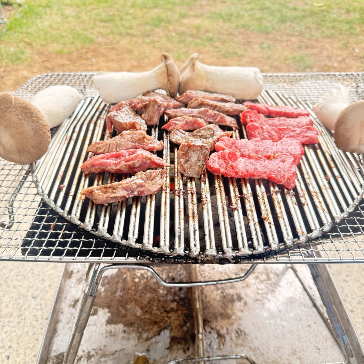 텍스아빠 (T.X.Dad) tweet media