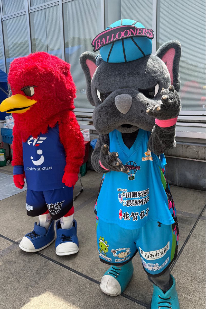 Panda🏀🌺 tweet media