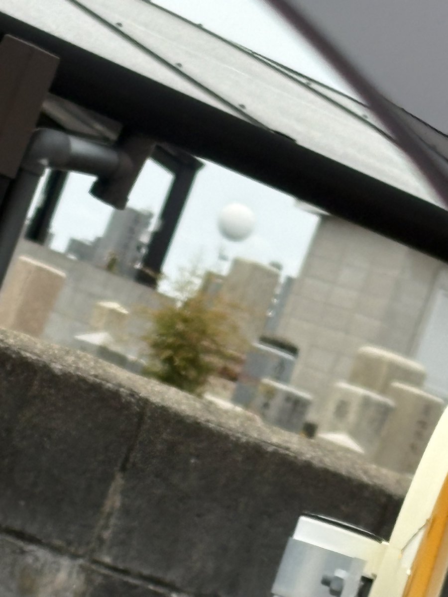 おくしー tweet media