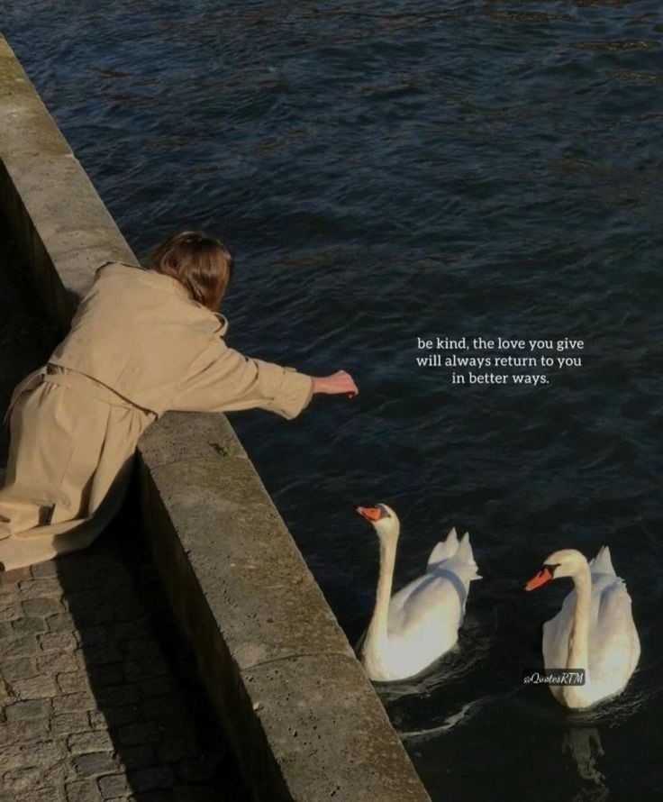 Mamta8791774453's tweet image. Kindness is never wasted!
 #DoGood #StayKind