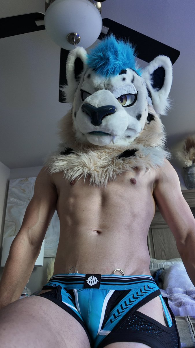 swifty_the_snep's tweet image. Well… it’s not gonna service itself~ #furry #Fursuit #furries #furrycommunity #fursuiteveryday
